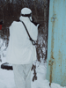   30  2011  -   ? :: - «» -   -  