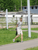    1  2013  -   - ,    ... :: - «» -   -  