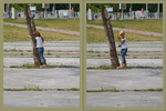    21  2013  -  :  :: - «» -   -  