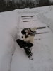    , 21  2015 ,   :: - «»  -  -  
