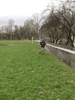      18  2015  -   :  :: - «» -   -  