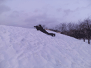     22  2016  -   :: - «» -   -  