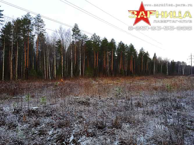 Большой полевой выход лазертаг-клуба на День народного единства 4 ноября 2022 года - Найдите на фото бойцов :: Лазертаг-клуб «Зарница» - организация лазертаг-игр в Перми