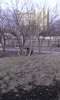  -    ,  2015 :: - «»  -  -  