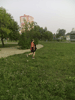  -    ,  2016 :: - «»  -  -  